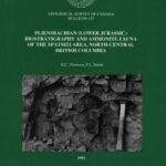 خرید و دانلود نسخه کامل کتاب Pliensbachian (Lower Jurassic) Biostratigraphy and Ammonite Fauna of the Spatsizi Area, North-Central British Columbia
