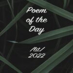 خرید و دانلود نسخه کامل کتاب Poem of the Day – /lit/ 2022