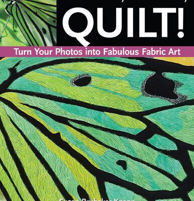 خرید و دانلود نسخه کامل کتاب Point, Click, Quilt! Turn Your Photos into Fabulous Fabric Art: 16 Projects, Fusible Applique, Thread Sketching & More