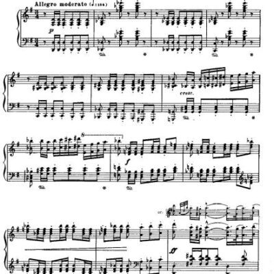 خرید و دانلود نسخه کامل کتاب Polonaise