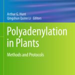 خرید و دانلود نسخه کامل کتاب Polyadenylation in Plants: Methods and Protocols