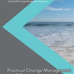 خرید و دانلود نسخه کامل کتاب Practical Change Management for IT Projects