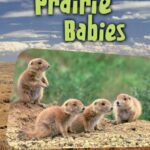 خرید و دانلود نسخه کامل کتاب Prairie Babies