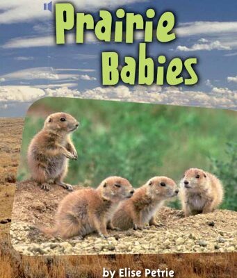 خرید و دانلود نسخه کامل کتاب Prairie Babies