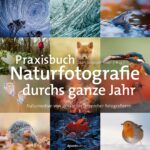 خرید و دانلود نسخه کامل کتاب Praxisbuch Naturfotografie durchs ganze Jahr: Naturmotive von Januar bis Dezember fotografieren