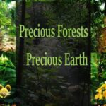 خرید و دانلود نسخه کامل کتاب Precious Forests: Precious Earth