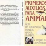 خرید و دانلود نسخه کامل کتاب Primeros auxilios para animales