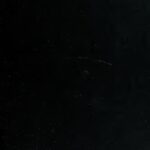 خرید و دانلود نسخه کامل کتاب Principles of Plant Breeding