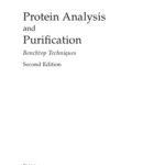 خرید و دانلود نسخه کامل کتاب Protein Analysis and Purification: Benchtop Techniques