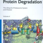 خرید و دانلود نسخه کامل کتاب Protein Degradation, Volume 4: The Ubiquitin-Proteasome System and Disease
