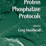 خرید و دانلود نسخه کامل کتاب Protein Phosphatase Protocols (Methods in Molecular Biology Vol 365)