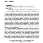 خرید و دانلود نسخه کامل کتاب Protein Phosphatase Protocols