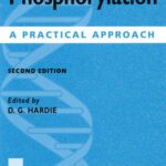 خرید و دانلود نسخه کامل کتاب Protein Phosphorylation: A Practical Approach (Practical Approach Series) 2nd ed