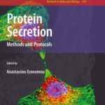 خرید و دانلود نسخه کامل کتاب Protein Secretion: Methods and Protocols