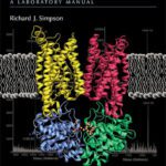 خرید و دانلود نسخه کامل کتاب Proteins and Proteomics A Laboratory Manual