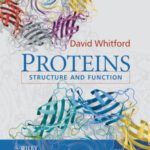 خرید و دانلود نسخه کامل کتاب Proteins: Structure and Function
