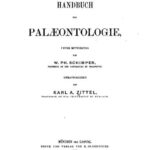 خرید و دانلود نسخه کامل کتاب Protozoa, Coelenterata, Echinodermata und Molluscoidea