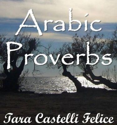 خرید و دانلود نسخه کامل کتاب Proverbi Arabi