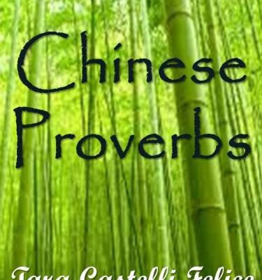 خرید و دانلود نسخه کامل کتاب Proverbi Cinesi