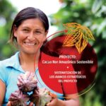 خرید و دانلود نسخه کامل کتاب Proyecto Cacao Nor Amazónico Sostenible Posicionamiento Sostenible del sector cacaotero de la macro región nororiente del Perú. Sistematización de los avances estratégicos del proyecto