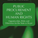خرید و دانلود نسخه کامل کتاب Public Procurement and Human Rights: Opportunities, Risks and Dilemmas for the State as Buyer
