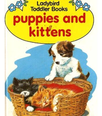 خرید و دانلود نسخه کامل کتاب Puppies and Kittens