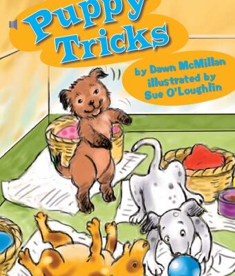 خرید و دانلود نسخه کامل کتاب Puppy Tricks