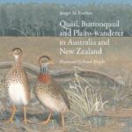 خرید و دانلود نسخه کامل کتاب Quail, Buttonquail and Plains-wanderer in Australia and New Zealand