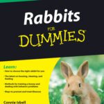 خرید و دانلود نسخه کامل کتاب Rabbits For Dummies