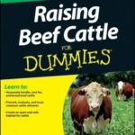 خرید و دانلود نسخه کامل کتاب Raising beef cattle for dummies