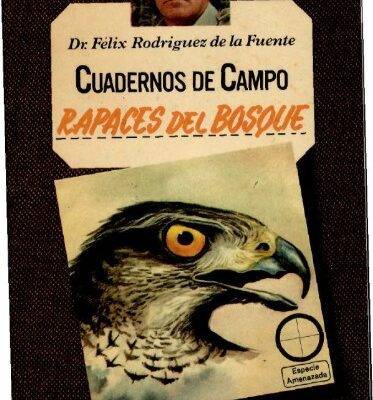 خرید و دانلود نسخه کامل کتاب Rapaces del bosque