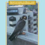 خرید و دانلود نسخه کامل کتاب Raptors in Human Landscapes: Adaptations to Built and Cultivated Environments