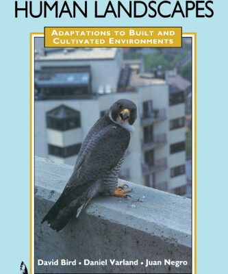 خرید و دانلود نسخه کامل کتاب Raptors in Human Landscapes: Adaptations to Built and Cultivated Environments