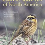 خرید و دانلود نسخه کامل کتاب Rare Birds of North America