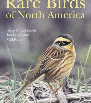 خرید و دانلود نسخه کامل کتاب Rare Birds of North America