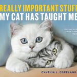 خرید و دانلود نسخه کامل کتاب Really Important Stuff My Cat Has Taught Me