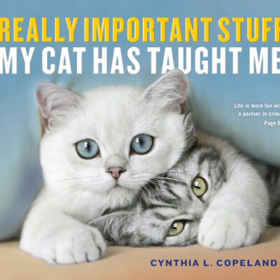خرید و دانلود نسخه کامل کتاب Really Important Stuff My Cat Has Taught Me
