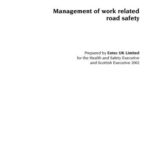 خرید و دانلود نسخه کامل کتاب Rebecca Lancaster and Rachel Ward. Management of work related road safety