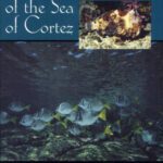 خرید و دانلود نسخه کامل کتاب Reef fishes of the Sea of Cortez: the rocky-shore fishes of the Gulf of California