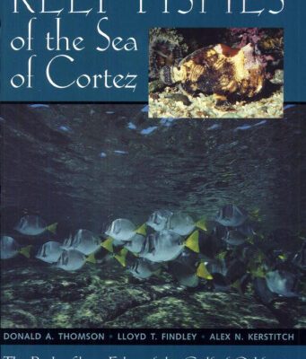 خرید و دانلود نسخه کامل کتاب Reef fishes of the Sea of Cortez: the rocky-shore fishes of the Gulf of California