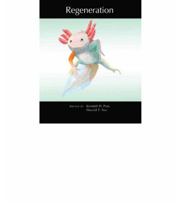 خرید و دانلود نسخه کامل کتاب Regeneration