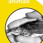 خرید و دانلود نسخه کامل کتاب Representing Animals