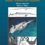 خرید و دانلود نسخه کامل کتاب Reproductive biology and phylogeny of Cetacea: whales, dolphins, and porpoises