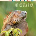خرید و دانلود نسخه کامل کتاب Reptiles of Costa Rica: A Field Guide