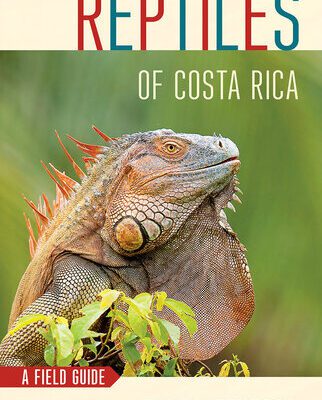خرید و دانلود نسخه کامل کتاب Reptiles of Costa Rica: A Field Guide