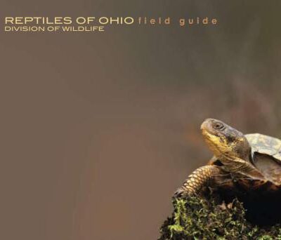 خرید و دانلود نسخه کامل کتاب Reptilies of Оhio. Field guide