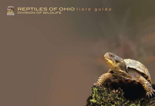خرید و دانلود نسخه کامل کتاب Reptilies of Оhio. Field guide_68e7bc05a46c1.jpeg خرید و دانلود نسخه کامل کتاب Reptilies of Оhio. Field guide