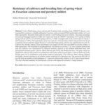 خرید و دانلود نسخه کامل کتاب Resistance of cultivars and breeding lines of spring wheat to Fusarium culmorum and powdery mildew