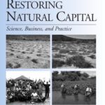 خرید و دانلود نسخه کامل کتاب Restoring Natural Capital: Science, Business, and Practice (The Science and Practice of Ecological Restoration Series)