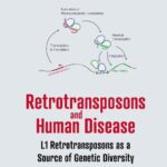 خرید و دانلود نسخه کامل کتاب Retrotransposons and Human Disease: L1 Retrotransposons as a Source of Genetic Diversity